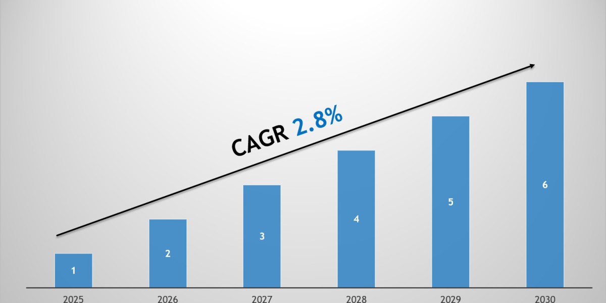 Automotive Thermal Imaging Market Share, Size & Competitive Landscape Report 2030
